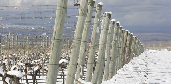 harvest 2006