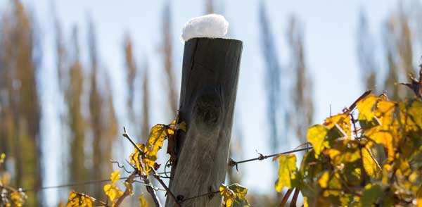 harvest 2014