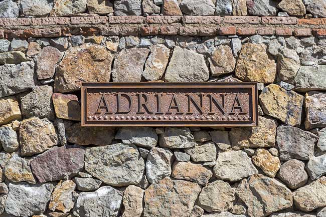 Adrianna Vineyard