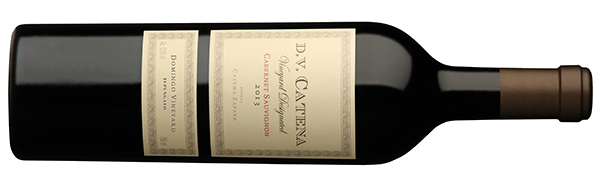 DV Catena Cabernet Domingo Vineyard