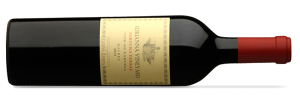 Adrianna Vineyard Fortuna Terrae Malbec