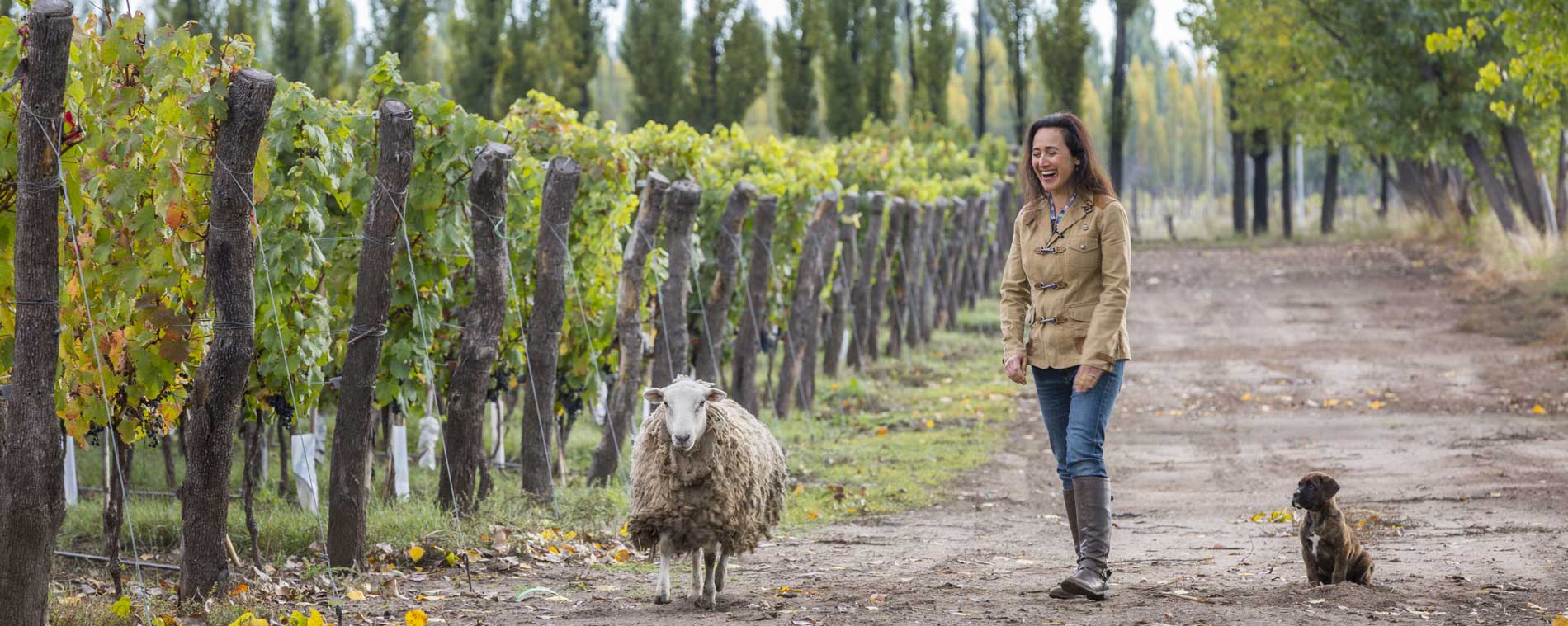 laura catena adrianna vineyard