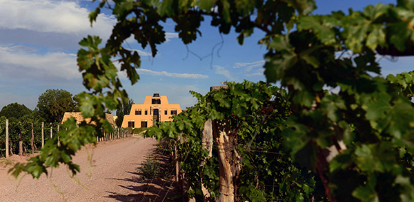 Catena Zapata, la bodega elegida como la mejor del mundo