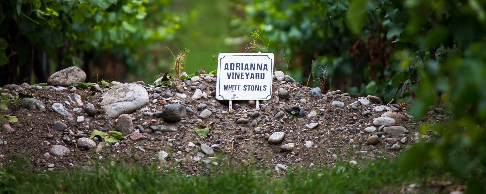 adrianna vineyard white stones parcel